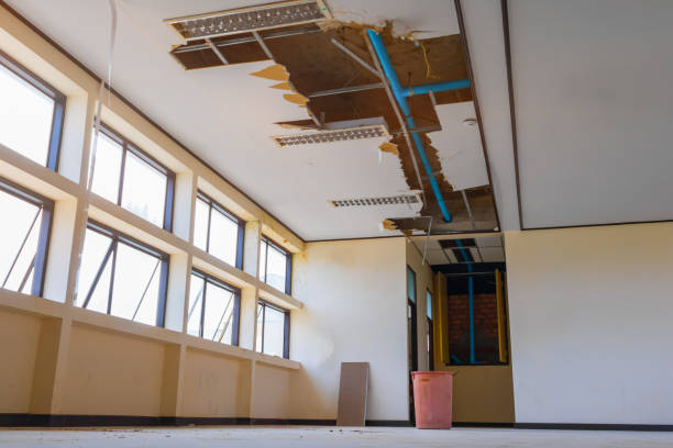 Best 24-hour water damage restoration  in Zephyrhills North, FL