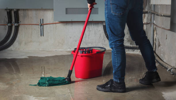 Best Water damage restoration insurance claims  in Zephyrhills North, FL