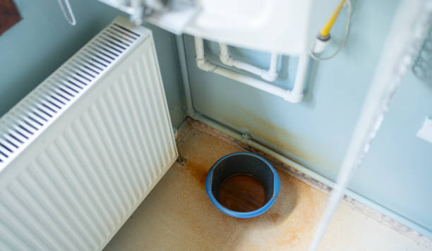 Best Flooded house restoration  in Zephyrhills North, FL