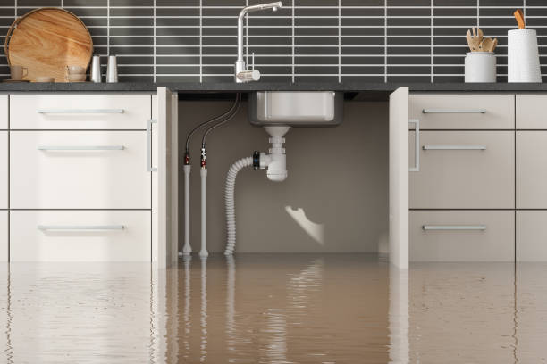 Best Water damage restoration near me  in Zephyrhills North, FL