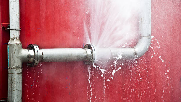 Best Fire Damage Restoration  in Zephyrhills North, FL